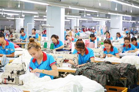 TOPLAND: Cần thuê 20,000 m2 xưởng để sản xuất áo len tại Bến Tre hoặc Tiền Giang