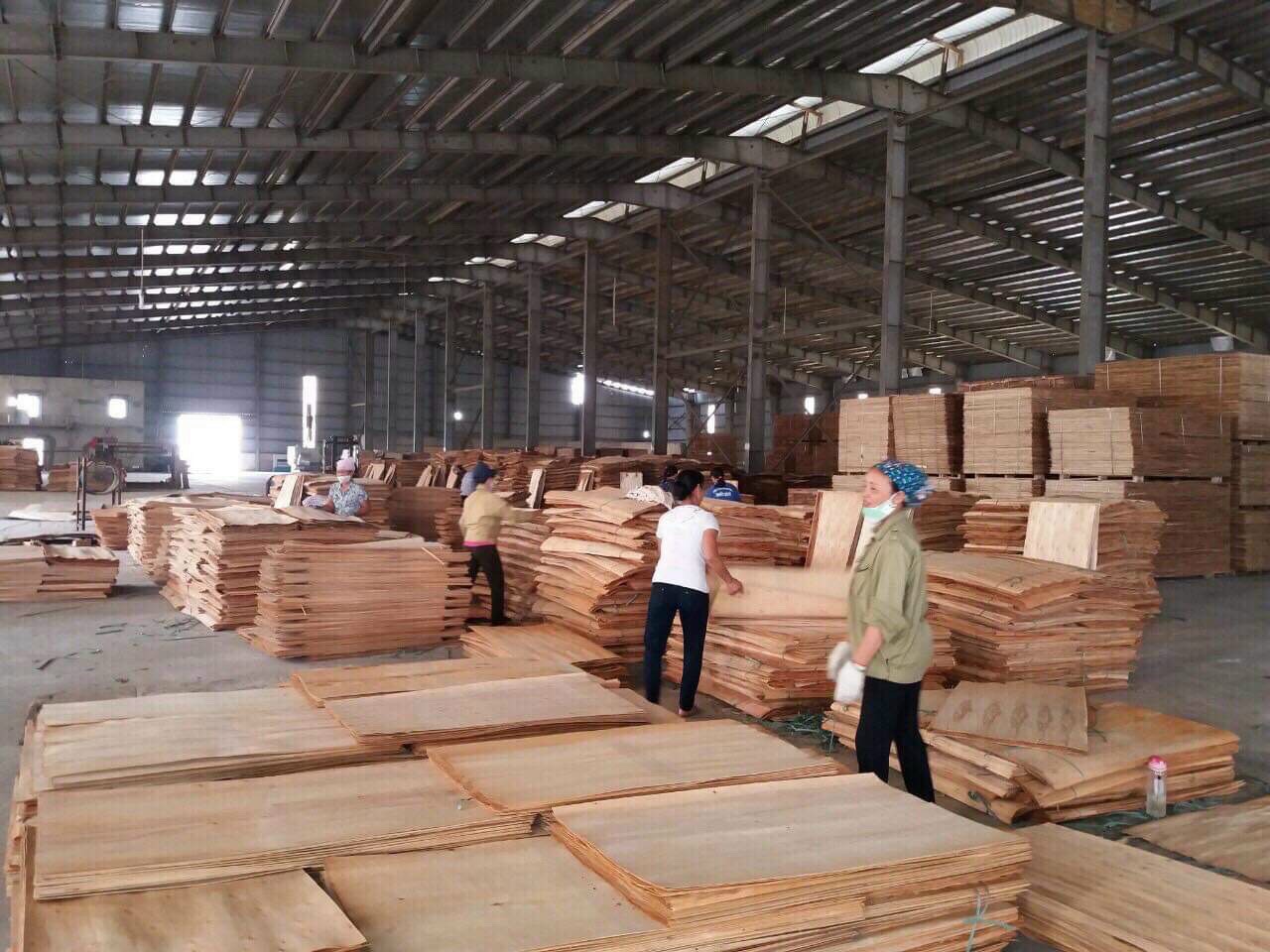 Chuyển nhượng dự án nhà máy sản xuất gỗ ván ép cạnh trục đường cao tốc Lào Cai