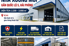 Chỉ với 75.000 đồng/m2/tháng CĐT đã thuê được nhà xưởng mới ngay gần Quốc lộ 5, Hải Phòng