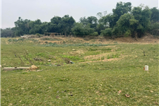 GẤP! Cần sang nhượng lô đất 2511m2 cạnh sông Bùi, Chương Mỹ, Hà Nội  