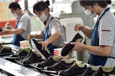 Chuyển nhượng 5.1ha đất trong CCN tại Thái Bình chủ trương làm nhà máy sản xuất giày dép.