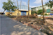 Chuyển nhượng hoặc cho thuê xưởng 15000m2 tại KCN Khánh Phú, Ninh Bình 