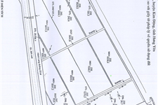 Sang nhượng hơn 20ha đất dự án khu liên hiệp sản xuất giống cây trồng, nuôi trồng và chế biến nông sản tại Kim Động, Hưng Yên 