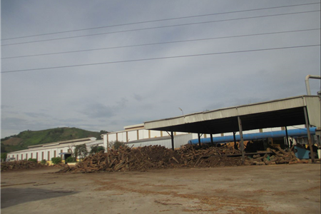 Sang nhượng 10 ha nhà máy chế biến gỗ công nghiệp tại Thanh Hoá