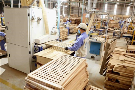 Chuyển nhượng dự án nhà máy sản xuất chế biến gỗ tại Tuyên Quang