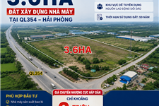 CHUYỂN NHƯỢNG 3,6 HA ĐẤT XÂY DỰNG NHÀ MÁY TẠI QL354 – HẢI PHÒNG | VỊ TRÍ GÓC ĐẸP, GIÁ CẠNH TRANH